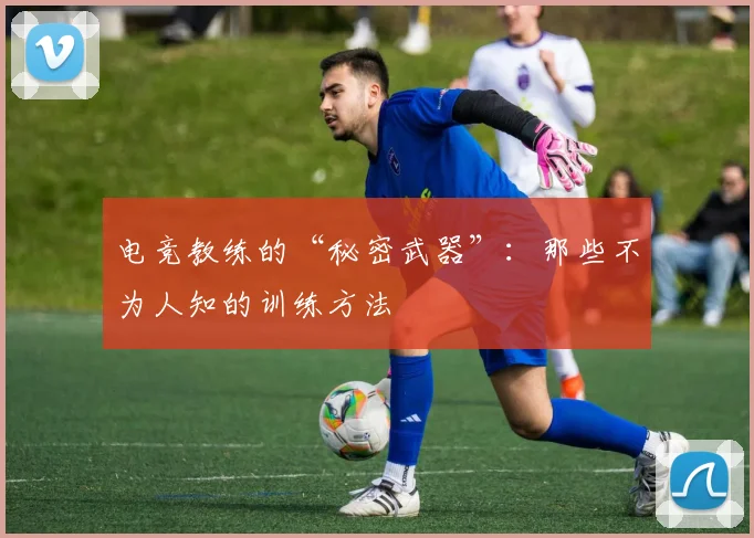 电竞教练的“秘密武器”：那些不为人知的训练方法