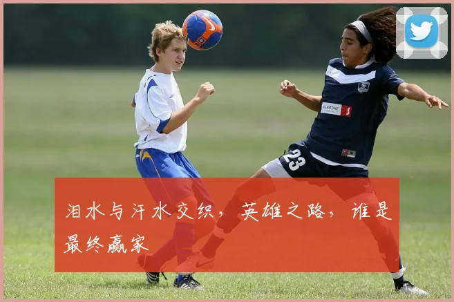 泪水与汗水交织，英雄之路，谁是最终赢家